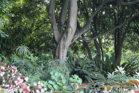 Sydney/Blue mountain, IMG_1405