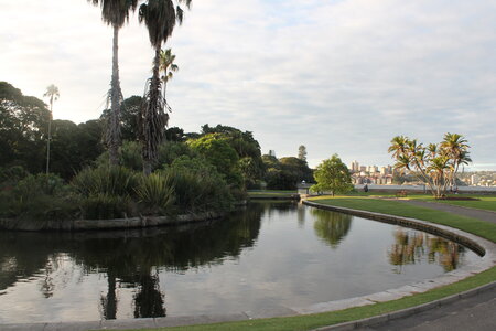 Sydney/Blue mountain, IMG_1432