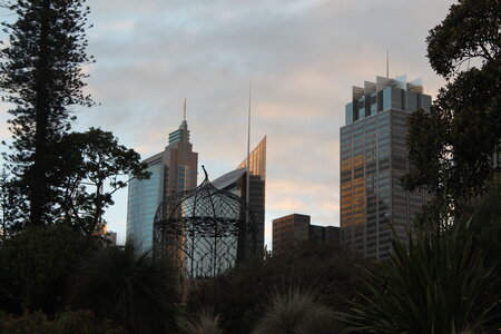 Sydney/Blue mountain, IMG_1487