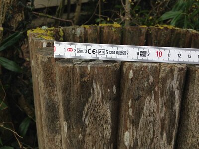 mesures photo, IMG_0036