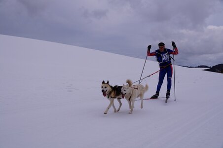 Course de chiens de traineau La Pesse 2013, DSC02580  Copier 