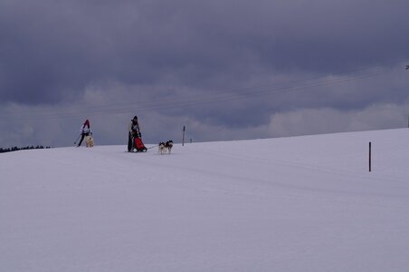 Course de chiens de traineau La Pesse 2013, DSC02596  Copier 