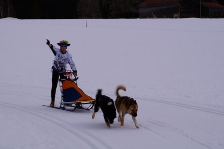 Course de chiens de traineau La Pesse 2013, DSC02607  Copier 