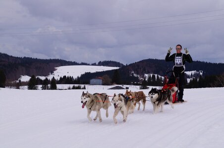 Course de chiens de traineau La Pesse 2013, DSC02622  Copier 