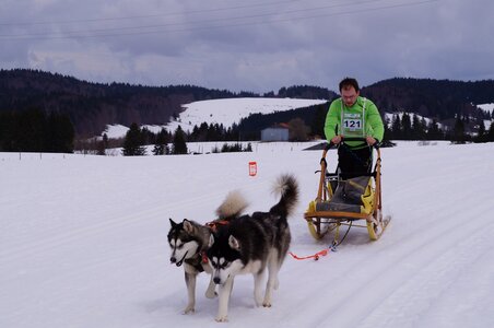 Course de chiens de traineau La Pesse 2013, DSC02628  Copier 