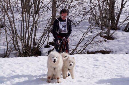 Course de chiens de traineau La Pesse 2013, DSC02835  Copier 