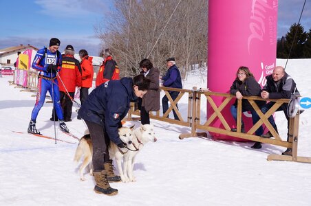 Course de chiens de traineau La Pesse 2013, DSC02839  Copier 