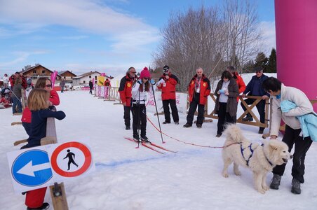 Course de chiens de traineau La Pesse 2013, DSC02848  Copier 