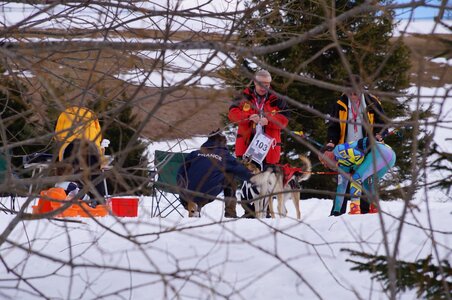 Course de chiens de traineau La Pesse 2013, DSC02909  Copier 