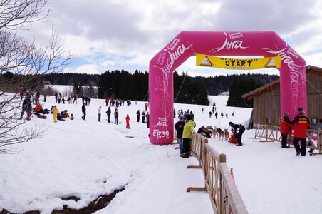 Course de chiens de traineau La Pesse 2013, DSC02916  Copier 