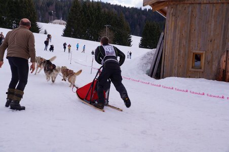 Course de chiens de traineau La Pesse 2013, DSC02922  Copier 