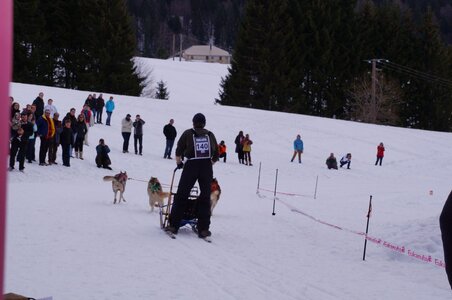 Course de chiens de traineau La Pesse 2013, DSC02926  Copier 