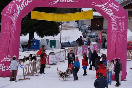 Course de chiens de traineau La Pesse 2013, DSC02939  Copier 