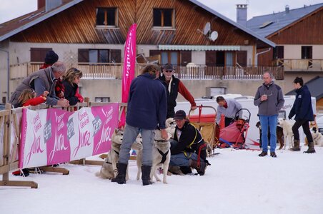 Course de chiens de traineau La Pesse 2013, DSC02946  Copier 