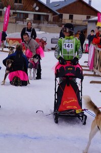 Course de chiens de traineau La Pesse 2013, DSC03001  Copier 