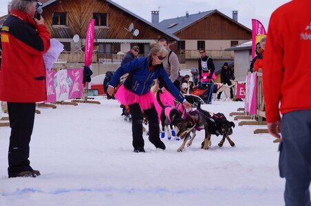 Course de chiens de traineau La Pesse 2013, DSC03008  Copier 
