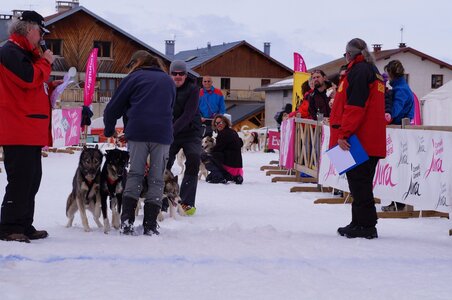 Course de chiens de traineau La Pesse 2013, DSC03020  Copier 