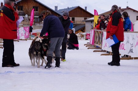 Course de chiens de traineau La Pesse 2013, DSC03021  Copier 