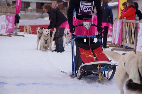 Course de chiens de traineau La Pesse 2013, DSC03025  Copier 