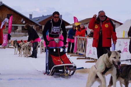 Course de chiens de traineau La Pesse 2013, DSC03027  Copier 