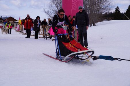Course de chiens de traineau La Pesse 2013, DSC03030  Copier 