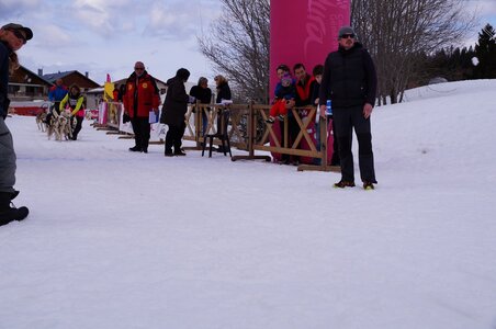 Course de chiens de traineau La Pesse 2013, DSC03031  Copier 