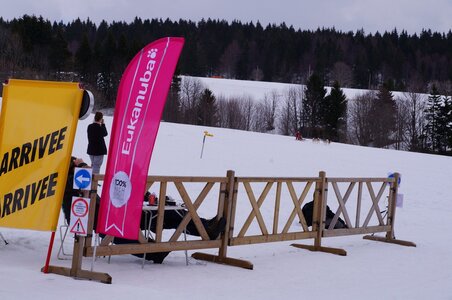 Course de chiens de traineau La Pesse 2013, DSC03139  Copier 