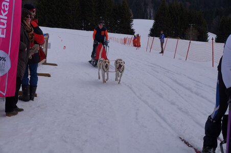 Course de chiens de traineau La Pesse 2013, DSC03202  Copier 
