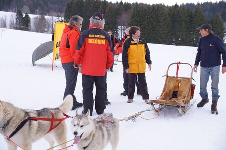 Course de chiens de traineau La Pesse 2013, DSC03213  Copier 
