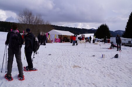 Course de chiens de traineau La Pesse 2013, DSC03257  Copier 