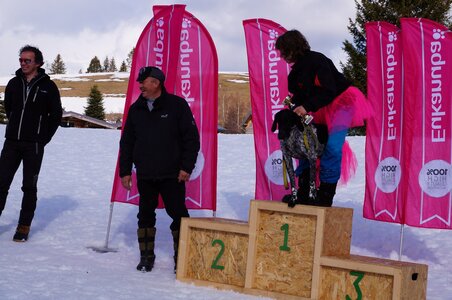 Course de chiens de traineau La Pesse 2013, DSC03290  Copier 