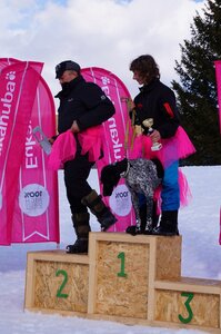 Course de chiens de traineau La Pesse 2013, DSC03293  Copier 