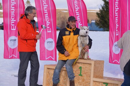 Course de chiens de traineau La Pesse 2013, DSC03324  Copier 