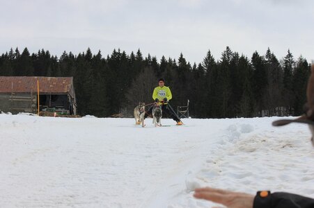 Course de chiens de traineau La Pesse 2013, IMG_1718  Copier 