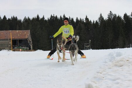 Course de chiens de traineau La Pesse 2013, IMG_1719  Copier 