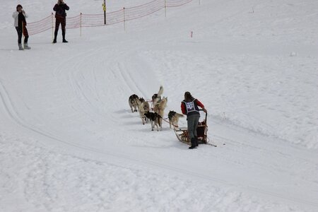 Course de chiens de traineau La Pesse 2013, IMG_1917  Copier 