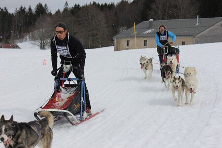 Course de chiens de traineau La Pesse 2013, IMG_1953  Copier 