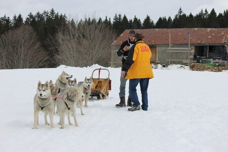 Course de chiens de traineau La Pesse 2013, IMG_1982  Copier 