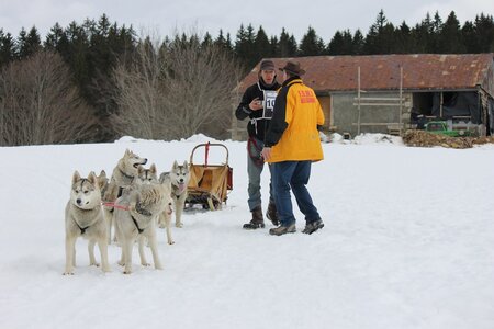 Course de chiens de traineau La Pesse 2013, IMG_1983  Copier 
