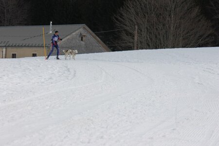 Course de chiens de traineau La Pesse 2013, IMG_2069  Copier 
