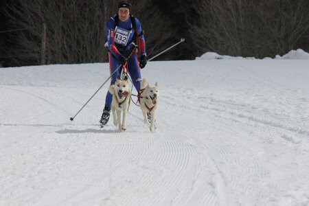 Course de chiens de traineau La Pesse 2013, IMG_2072  Copier 