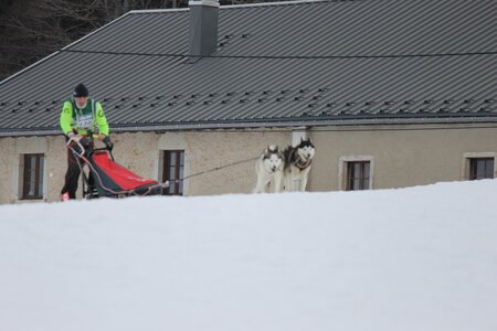 Course de chiens de traineau La Pesse 2013, IMG_2096  Copier 