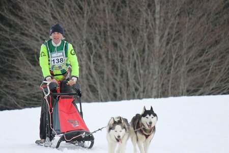 Course de chiens de traineau La Pesse 2013, IMG_2098  Copier 