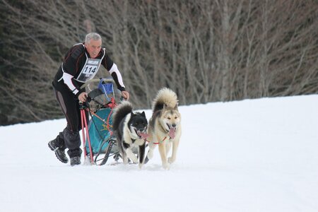 Course de chiens de traineau La Pesse 2013, IMG_2105  Copier 