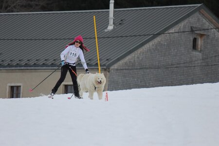 Course de chiens de traineau La Pesse 2013, IMG_2121  Copier 