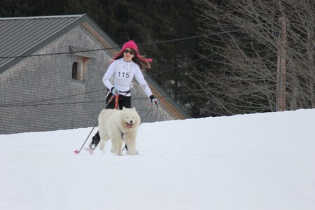 Course de chiens de traineau La Pesse 2013, IMG_2122  Copier 