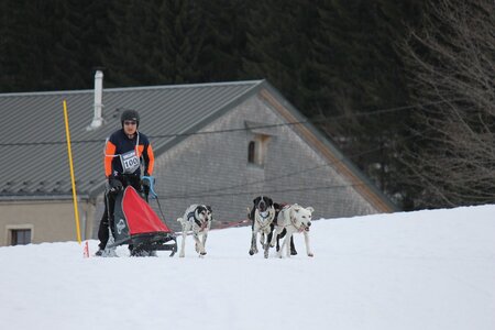 Course de chiens de traineau La Pesse 2013, IMG_2131  Copier 