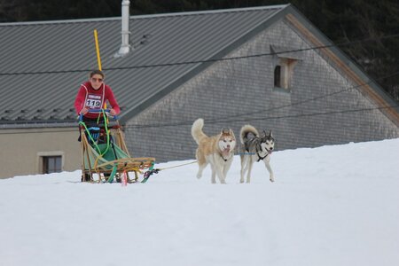 Course de chiens de traineau La Pesse 2013, IMG_2137  Copier 