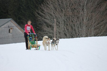 Course de chiens de traineau La Pesse 2013, IMG_2138  Copier 