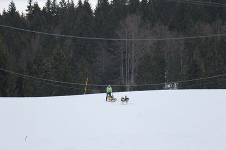 Course de chiens de traineau La Pesse 2013, IMG_2155  Copier 